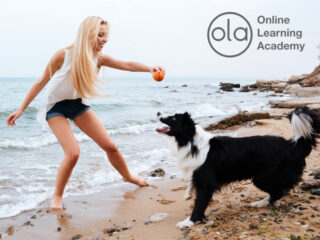 Canine Behaviour Training Course Diploma