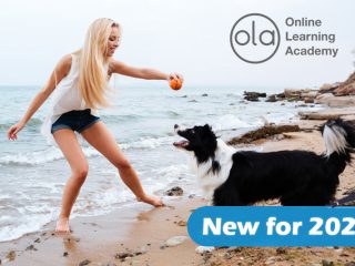 Canine Behaviour Training Course Diploma